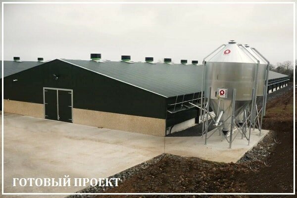 Этапы возведения птицефабрики от завода ВелесТент-юрг